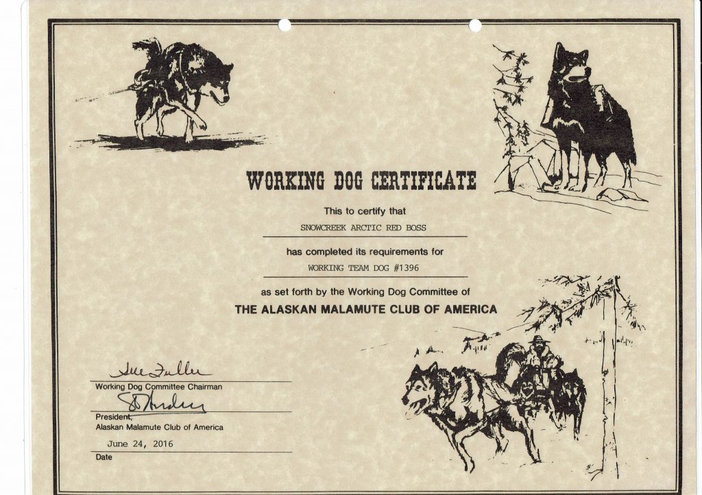 Boss WRD #1396