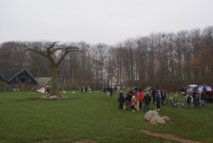 Aalborg Zoo 2011 (51)