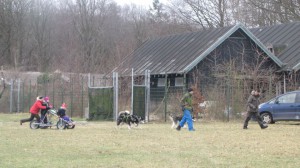 Aalborg Zoo 2013  (22)