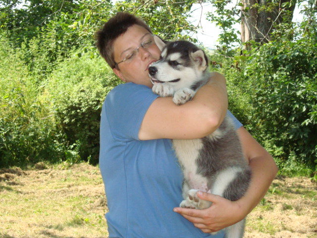 R.I.P Snowcreek Blizzard Black Hawk aka Gus ... Sort/hvid