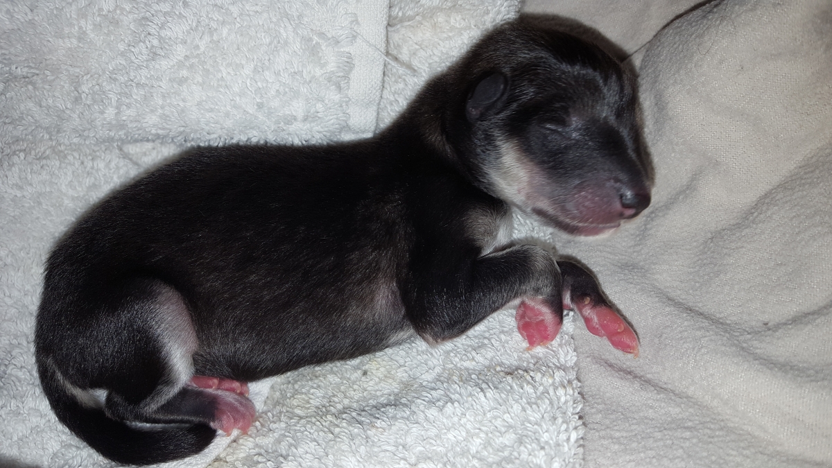 Just a Miracle Mocha (1)