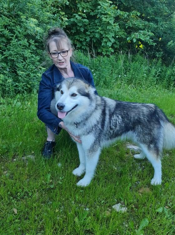Snowcreek Light'ng Diamond Skye