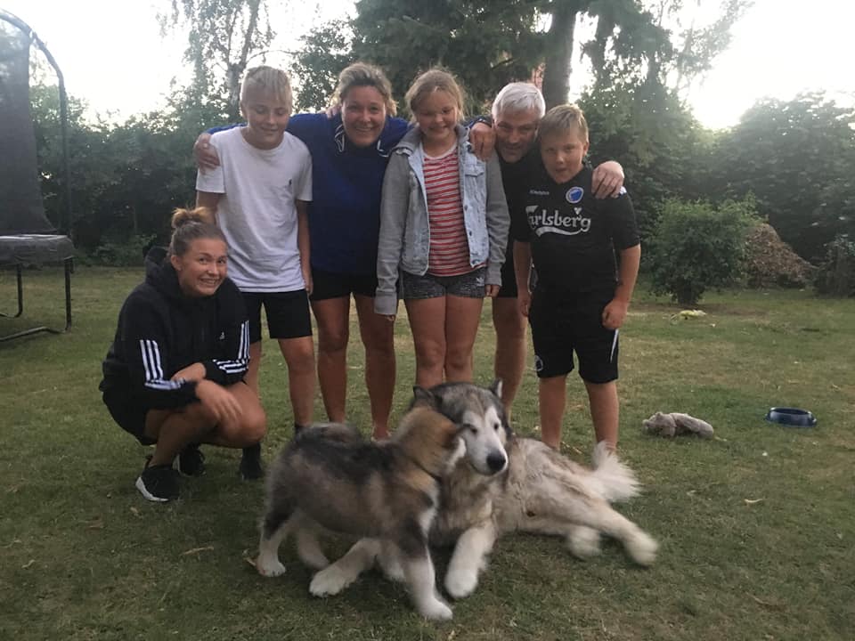 MM Balto, 8 uger, hjem