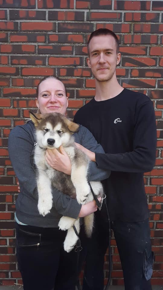 MM Thor, 8 uger, hjem