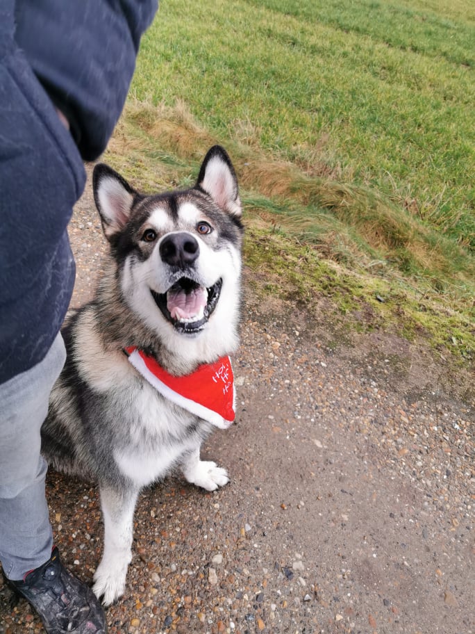 MM Thor jul 2019