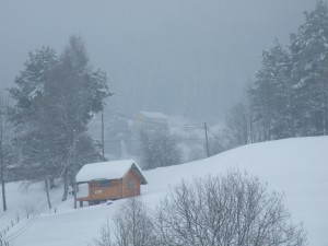 Norway 2011 (60)