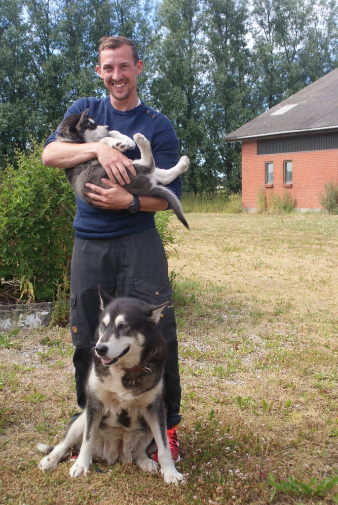 R.I.P Snowcreek HardWorking Nymeria ... Sort/hvid
