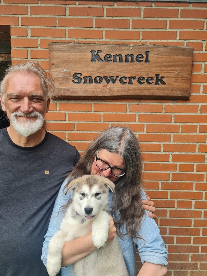 Snowcreek Quick-Step Saga aka Ylva