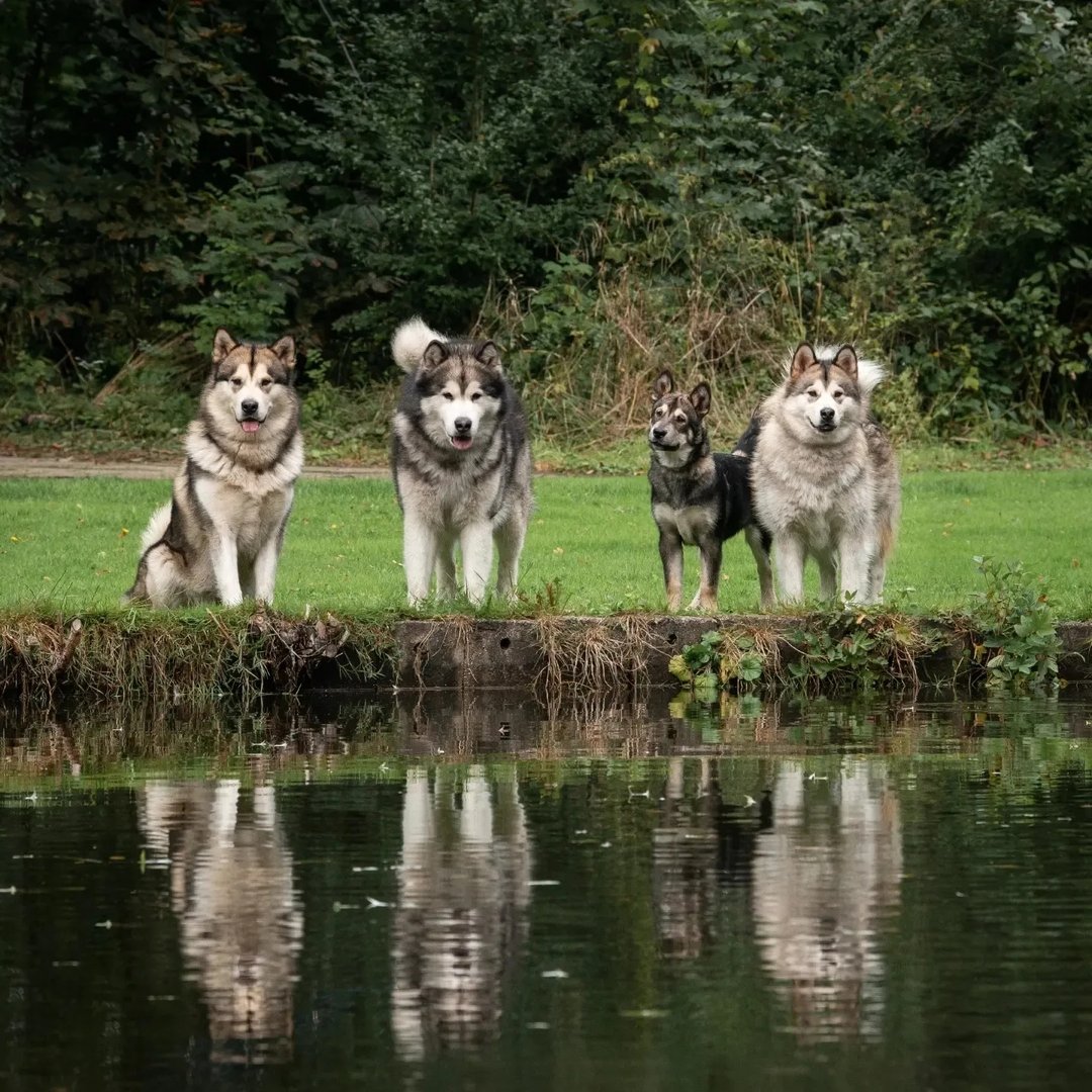 R-Njord-ny-familie