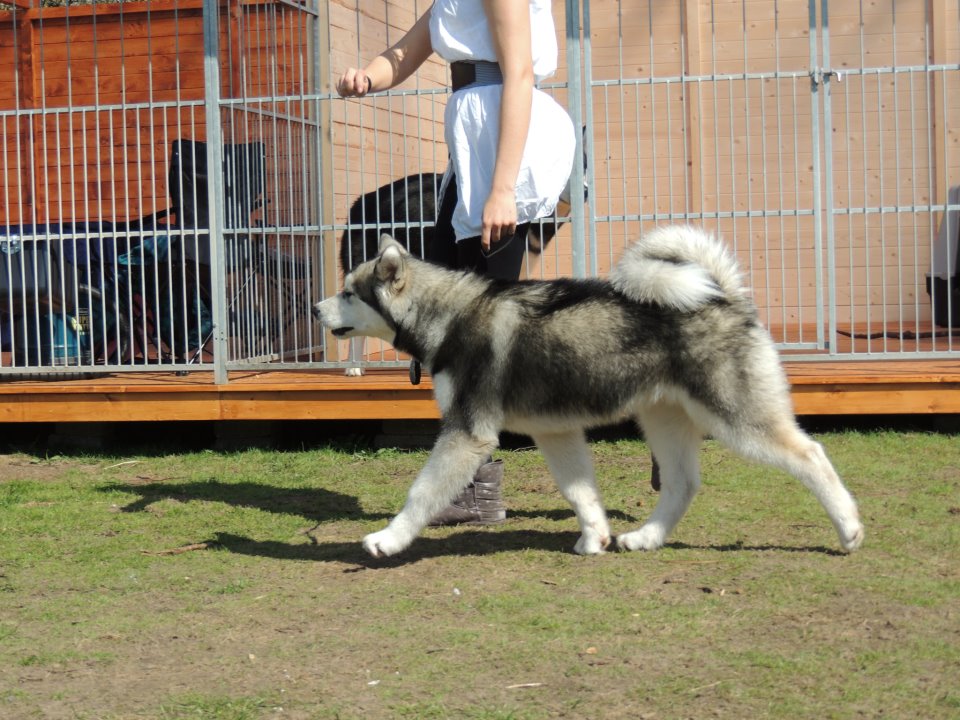 Zeus