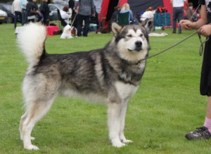 skue sept 2009 (1)
