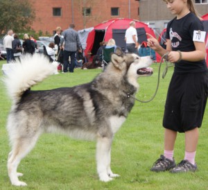 skue sept 2009 (3)