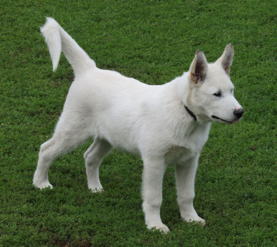 witus 15 weeks (2)